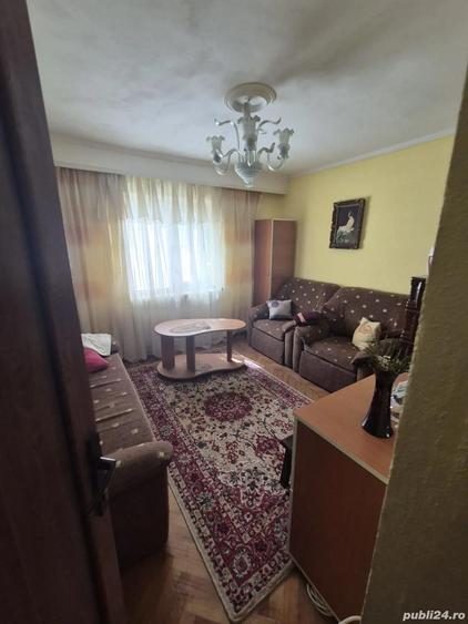 Casa Lalosu Berbesti - 4