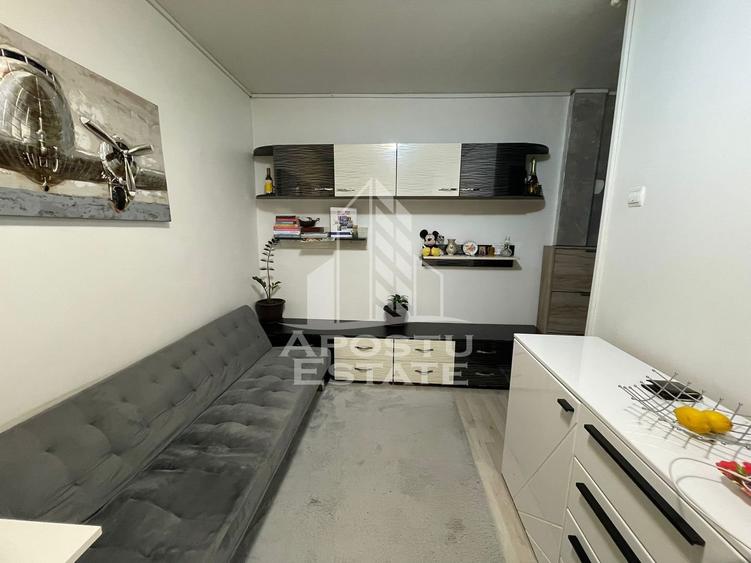 Apartament 2 camere, zona Sagului, Timisoara - 2