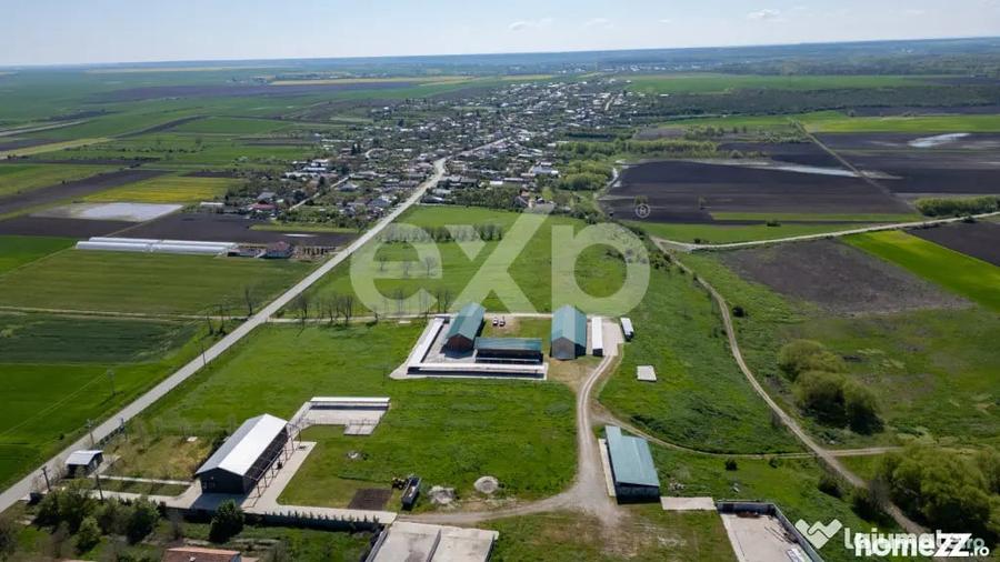 Black Angus Farm with authorized Slaughterhouse - 18