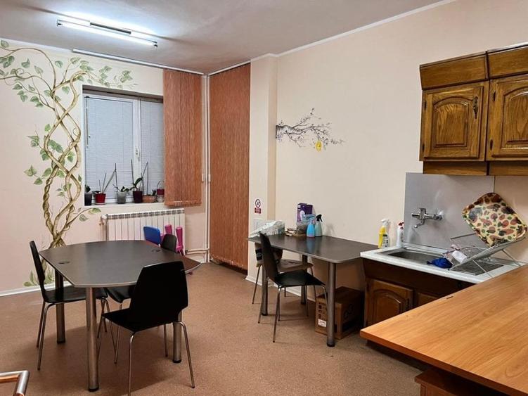 Parter in viluta din 2000 - 6