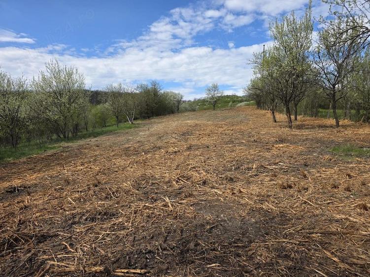 De vanzare teren intravilan 6704 mp Barsau, jud. Hunedoara - 16