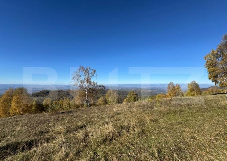 Teren extravilan 6.360 mp in Tarsa - 1