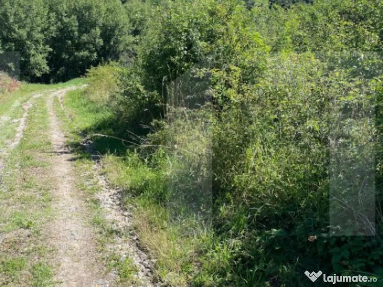 Teren de vanzare in zona Casele Micesti - 1