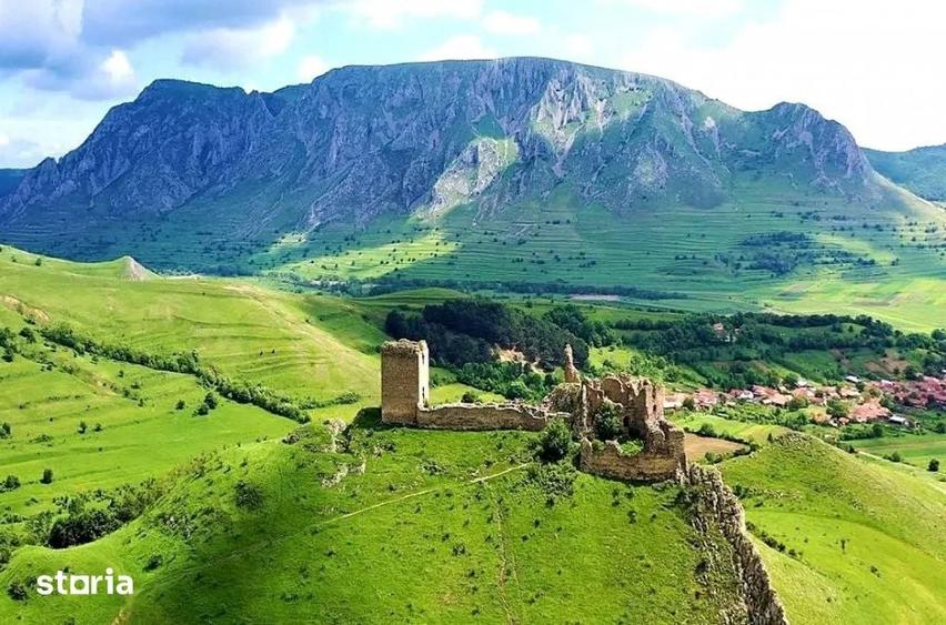 Teren de 9000 mp, în Fărău