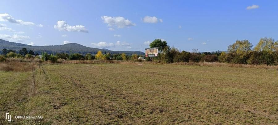 Teren Construcții intravilan de 12300 mp, în Sud