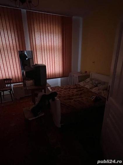 Casa individuala 5 camere 1439mp , curte, mobilata , Sintesti Timis - 2