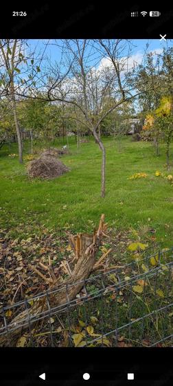 Casa de vanzare Rosiori de vede Teleorman - 4