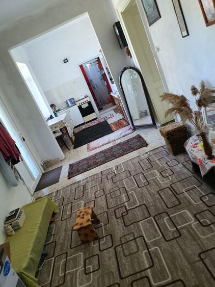 Casa de vanzare in zona rurala, Loc. Teremia Mare - 6