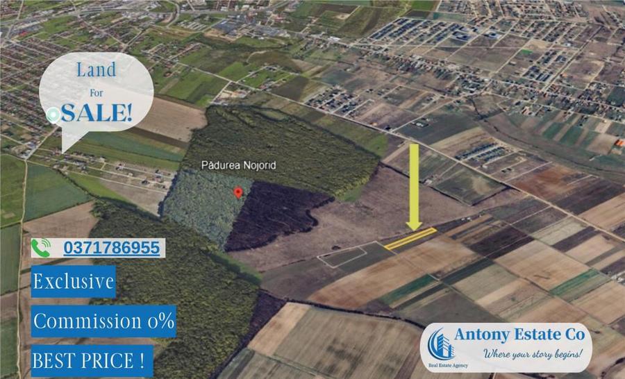 Oportunitate de investitie - Teren Cihei, langa Padurea Nojo - 11