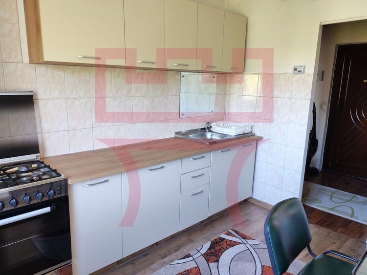 Inchiriere apartament renovat 2 camere parcare Plopilor parcul Babes - 4
