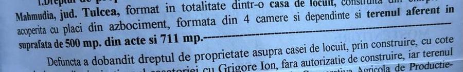 casa batraneasca + teren - 10