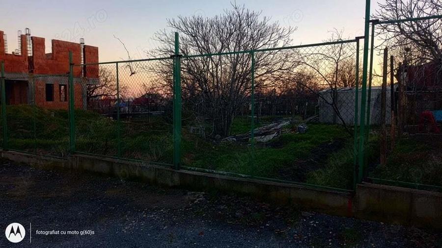 Teren de vanzare Palazu Mare - 3