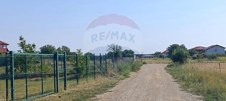 Teren 650mp Ghermanesti / Strada Milcov - 6