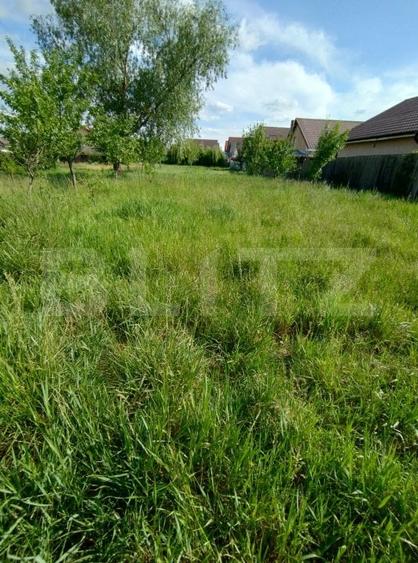 Teren intravilan de vanzare, 900 mp, deschidere de 15 m, zona Brestei-Cernele - 1