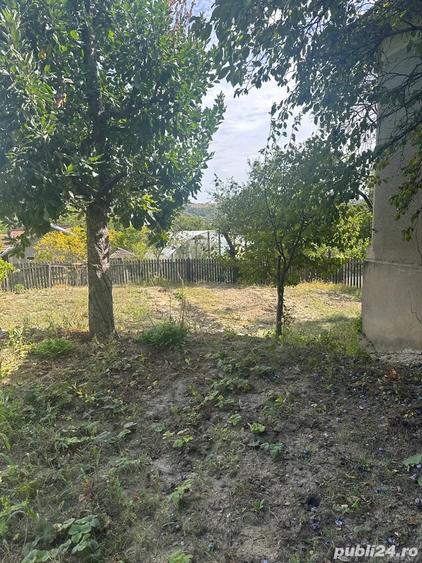 casa de vanzare - 2