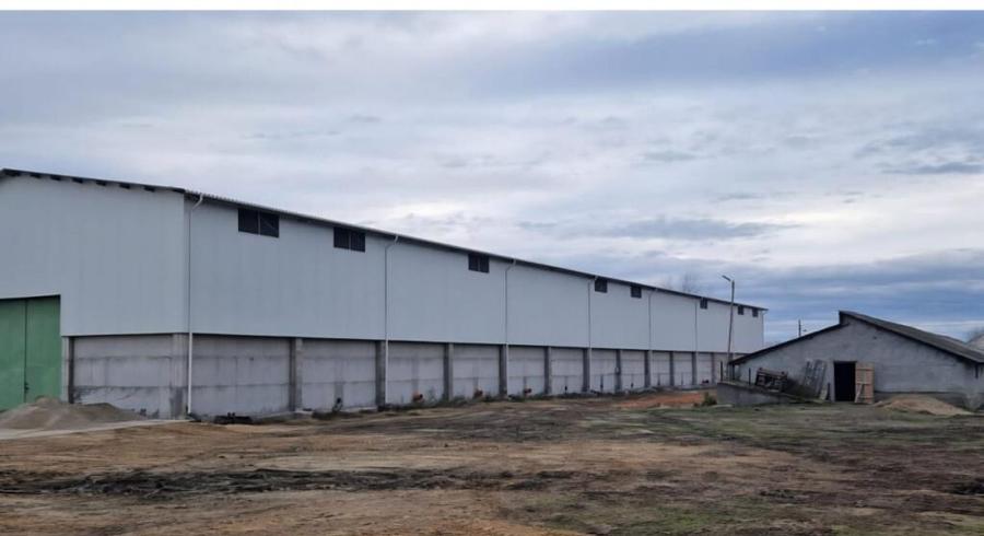 Proprietate agroindustriala, hala 1590 mp, teren 28000 mp, p - 10