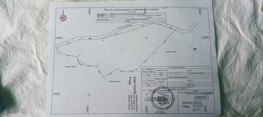 Se vinde teren-10 hectare in comuna Blajeni judetul Hunedoara - 8