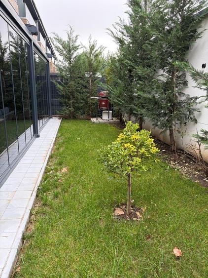 New Villa Pipera Pet Friendly - 1