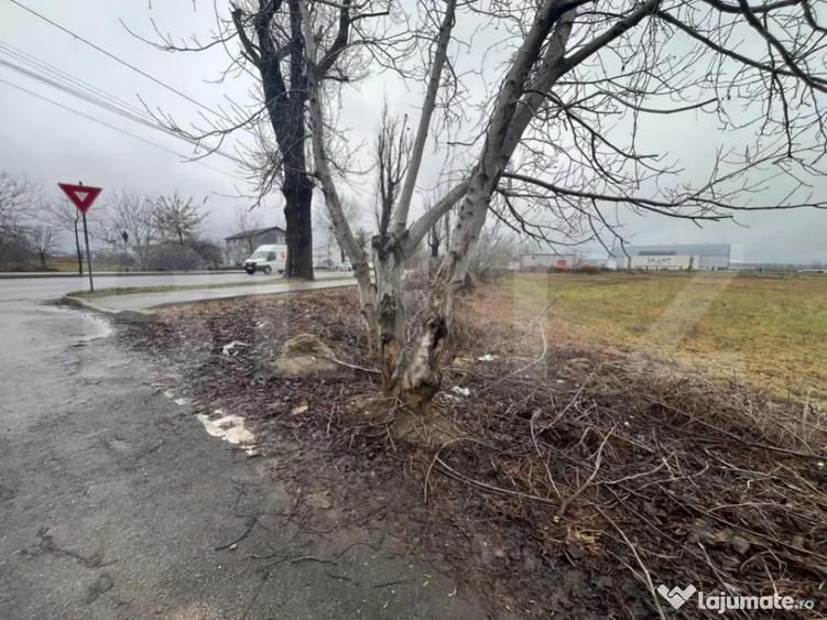 Teren extravilan, 1578 mp, zona Nata?ie Targovi?te - 2