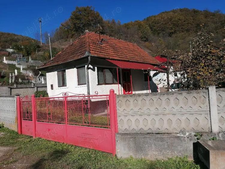 Casa de vanzare + teren si padure - 6