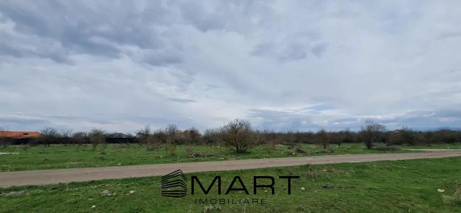 Teren Intravilan 533 mp Sanpetru - 4