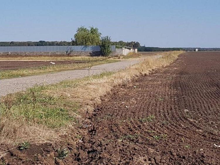 Branesti teren intravilan 30700 mp