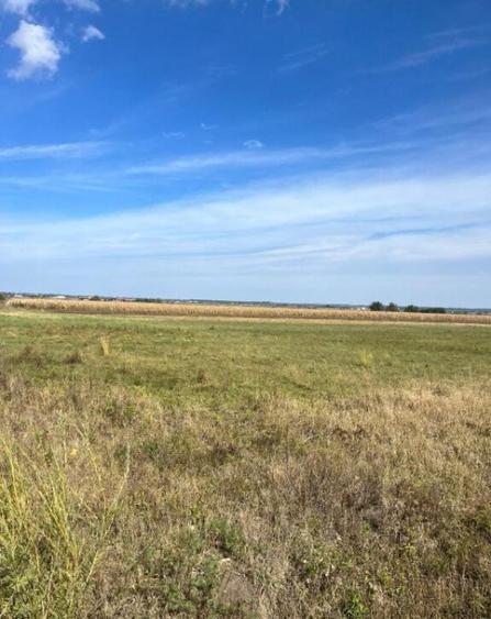 Teren extravilan, 2480 mp, Radauti - 1