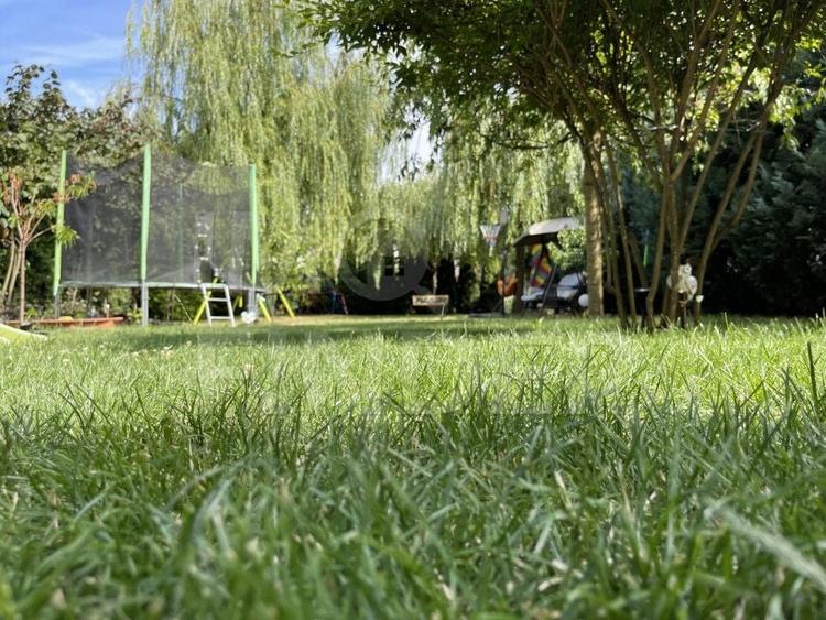 Vanzare casa individuala in Andrei Muresanu, teren 912 mp - 6