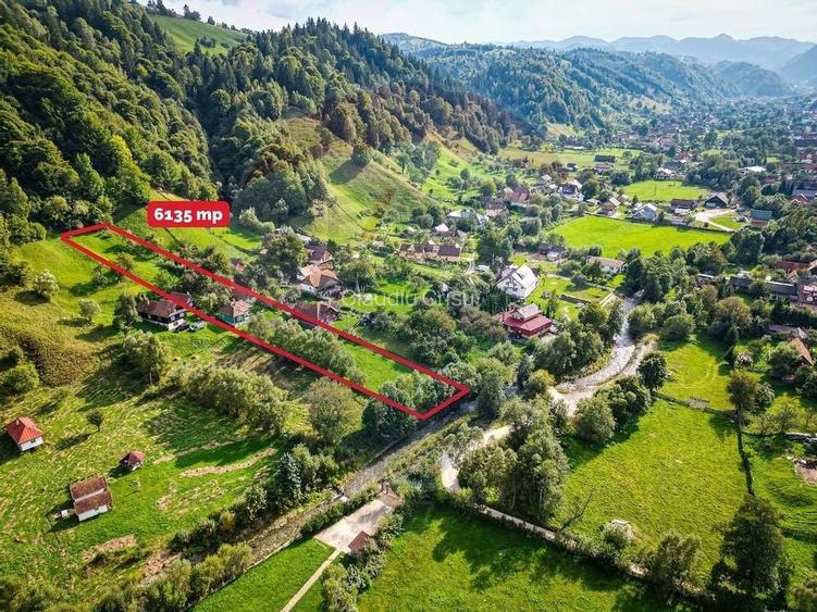 Teren 6,135mp Moieciu de Jos / Strada Principala Teren 6,135mp Moieciu de Jos / Strada Principala