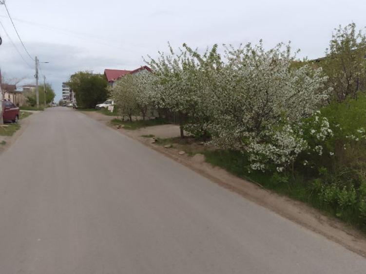 Închiriez ieftin terenuri - 2