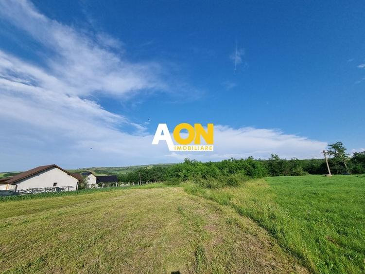 De vanzare 1974mp teren intravilan, cu utilitati, Oarda de Sus - 2