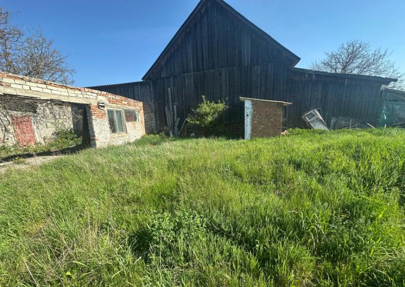 Casa Individuala Ozun Covasna teren 3200 mp - 8