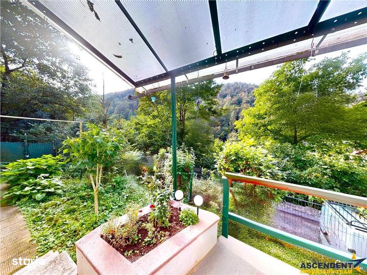3D! Casa autentica,5.025 mp teren,in spectacolul montan al Cetatii Med - 9
