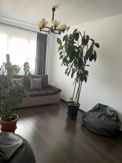 Inchiriere ap 3 camere Berceni - 7