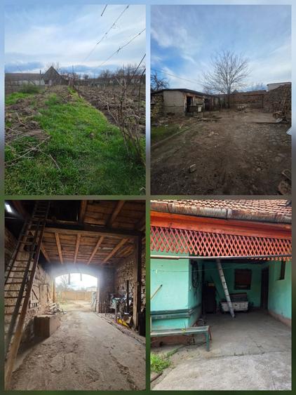 Casa de vanzare in Calnic - 4