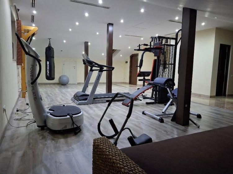 Vila cocheta cu posibilitati de investitie multiple - 15