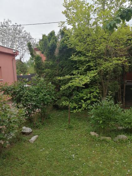 Vila cochetă Pipera, teren 650 mp - 23