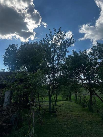 Reco, Casa cu teren, Lugasu de Sus, la 32 km de Oradea - 7