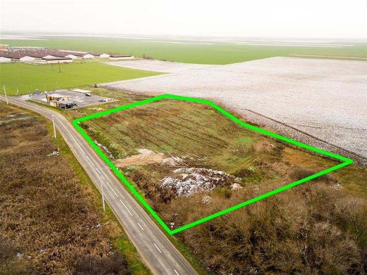 RECO . Teren extravilan  5000mp  , 110ml front . - 5