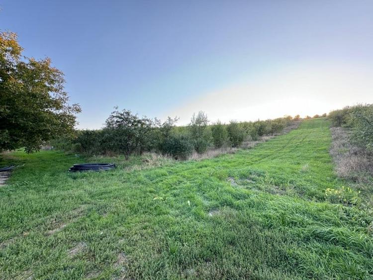 Vanzare Teren Intravilan 800 mp Visani Sf. Ilie PUZ Casa D+P+E - 3