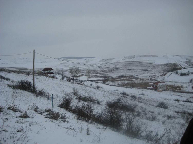 Teren intravilan pentru constructii in Chinteni - 1