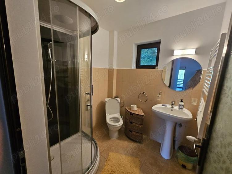 Casa de vacan?a de vanzare in comuna Bradule?, sat Bradetu, jude? Arge?. - 17