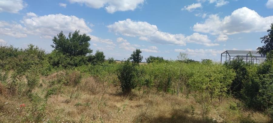 CLINCENI- COLECTORIL DE APA - 2