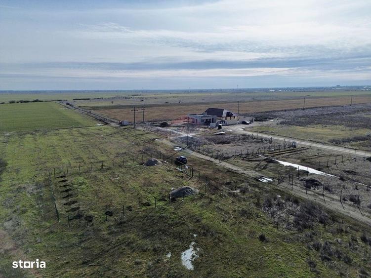 Teren Focsani / Strada Cuza Voda/ Intrare Petresti - 2