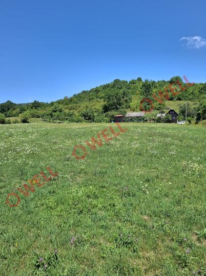 De vânzare teren intravilan de 7.600 m² situat în Sovata, pe strada Alunei (Mogy - 4