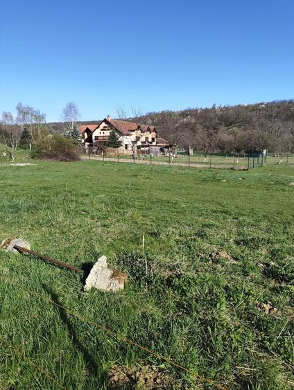 Teren intravilan la intrare in satul SIBIEL - 3