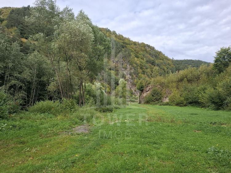 Teren Intravilan de Vânzare – 3622 mp – Râu Sadului - 10