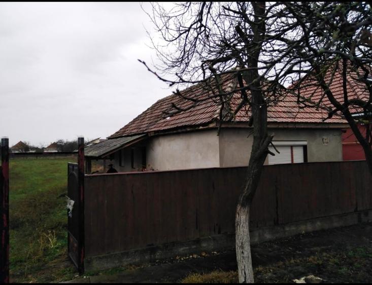 Casa + teren de vanzare - 3