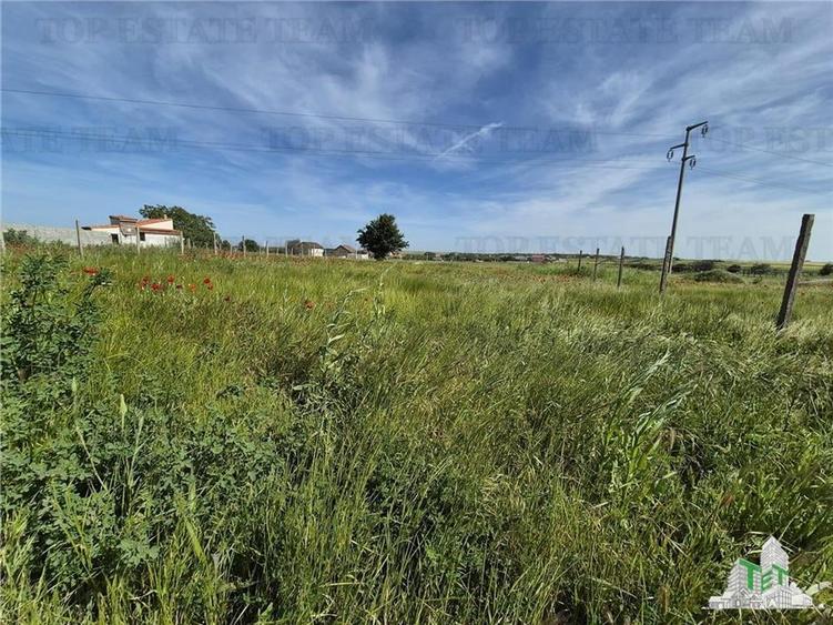 Teren intravilan Techirghiol - 3