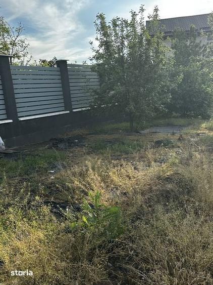 Teren intravilan Albesti - 3